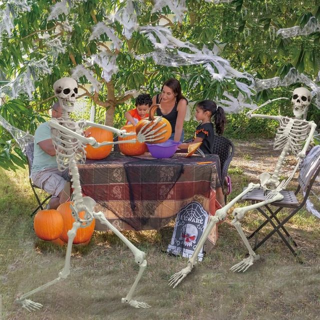 Poseable Life Size Skeleton - Plastic Human Skeletons with Movable Joints for Halloween - 5.9FT