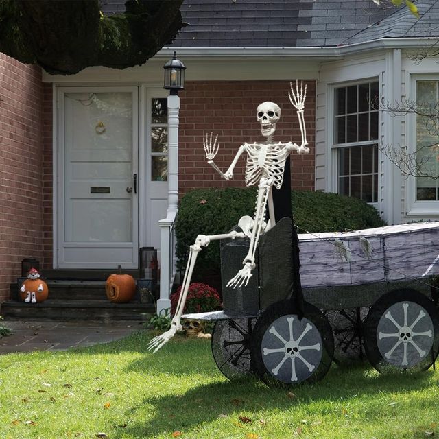 Poseable Life Size Skeleton - Plastic Human Skeletons with Movable Joints for Halloween - 5.9FT