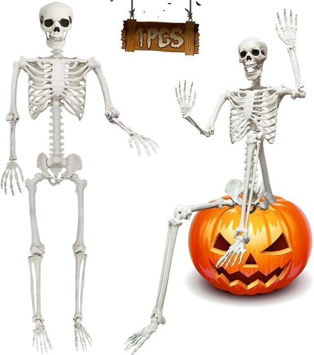 Poseable Life Size Skeleton - Plastic Human Skeletons with Movable Joints for Halloween - 5.9FT