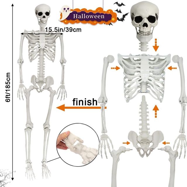 Poseable Life Size Skeleton - Plastic Human Skeletons with Movable Joints for Halloween - 5.9FT