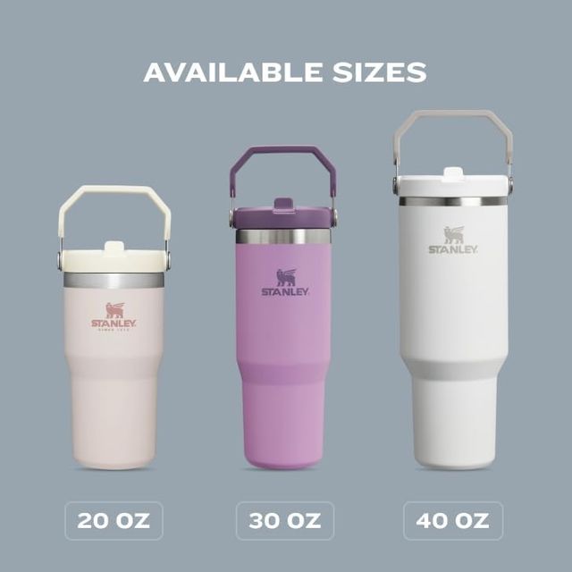 Stanley IceFlow Stainless Steel Tumbler with Straw - Vacuum Insulated Water Bottle