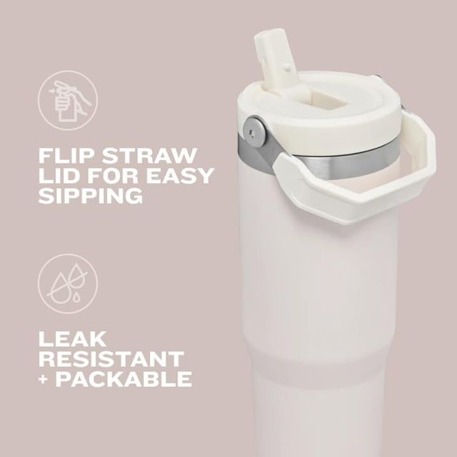 Stanley IceFlow Stainless Steel Tumbler with Straw - Vacuum Insulated Water Bottle