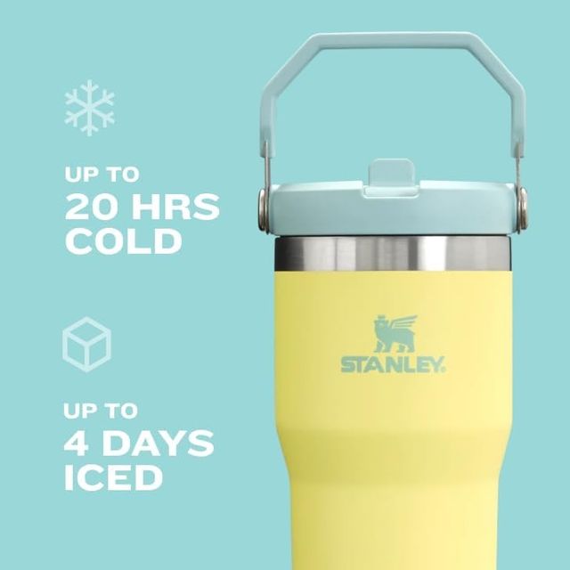 Stanley IceFlow Stainless Steel Tumbler with Straw - Vacuum Insulated Water Bottle